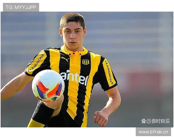 巴尔韦德中场角色跃迁及主力地位确立解析