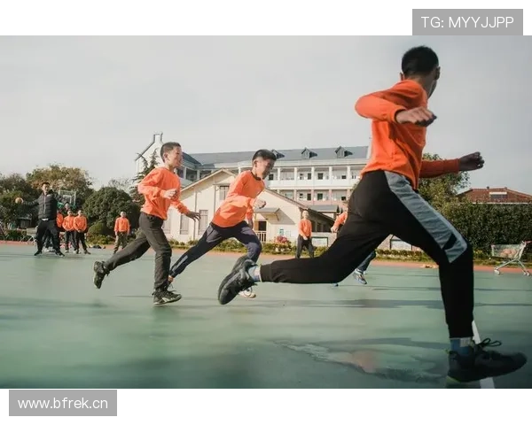 支撑手手球判罚为何总被误解？规则细节全面解读